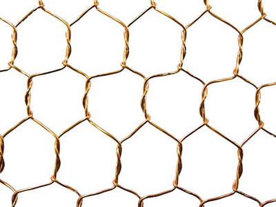 The picture shows normal twist golden brass hexagonal wire mesh.