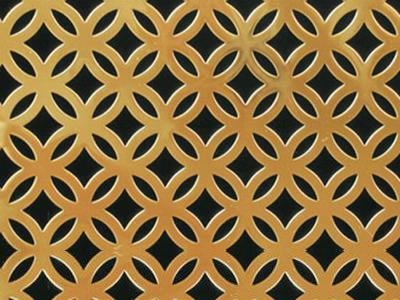 The picture shows a piece of inner circle perforated mesh.